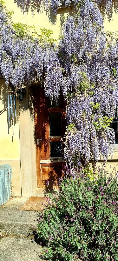 La Maison Des Tisserandes มองต์เซกูร์ ภายนอก รูปภาพ
